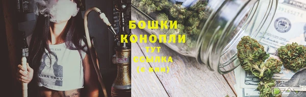 ALPHA PVP Ростов