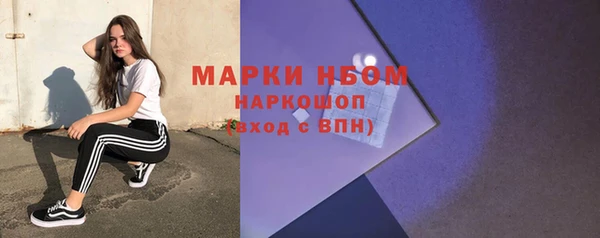 индика Саяногорск